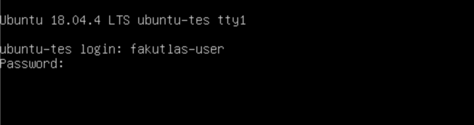 Login prompt di terminal