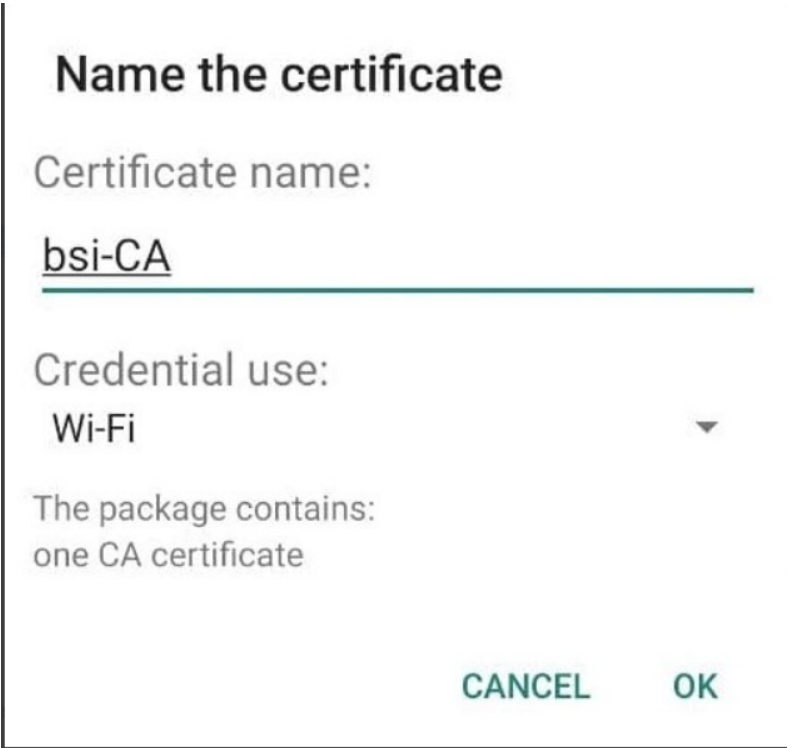 Memberi Nama Sertifikat CA
