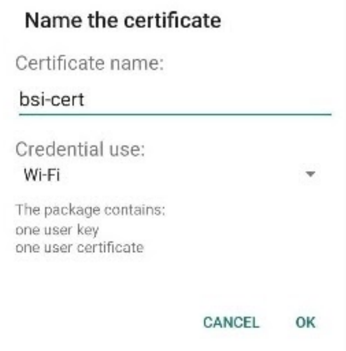 Memberi Nama Sertifikat Pengguna