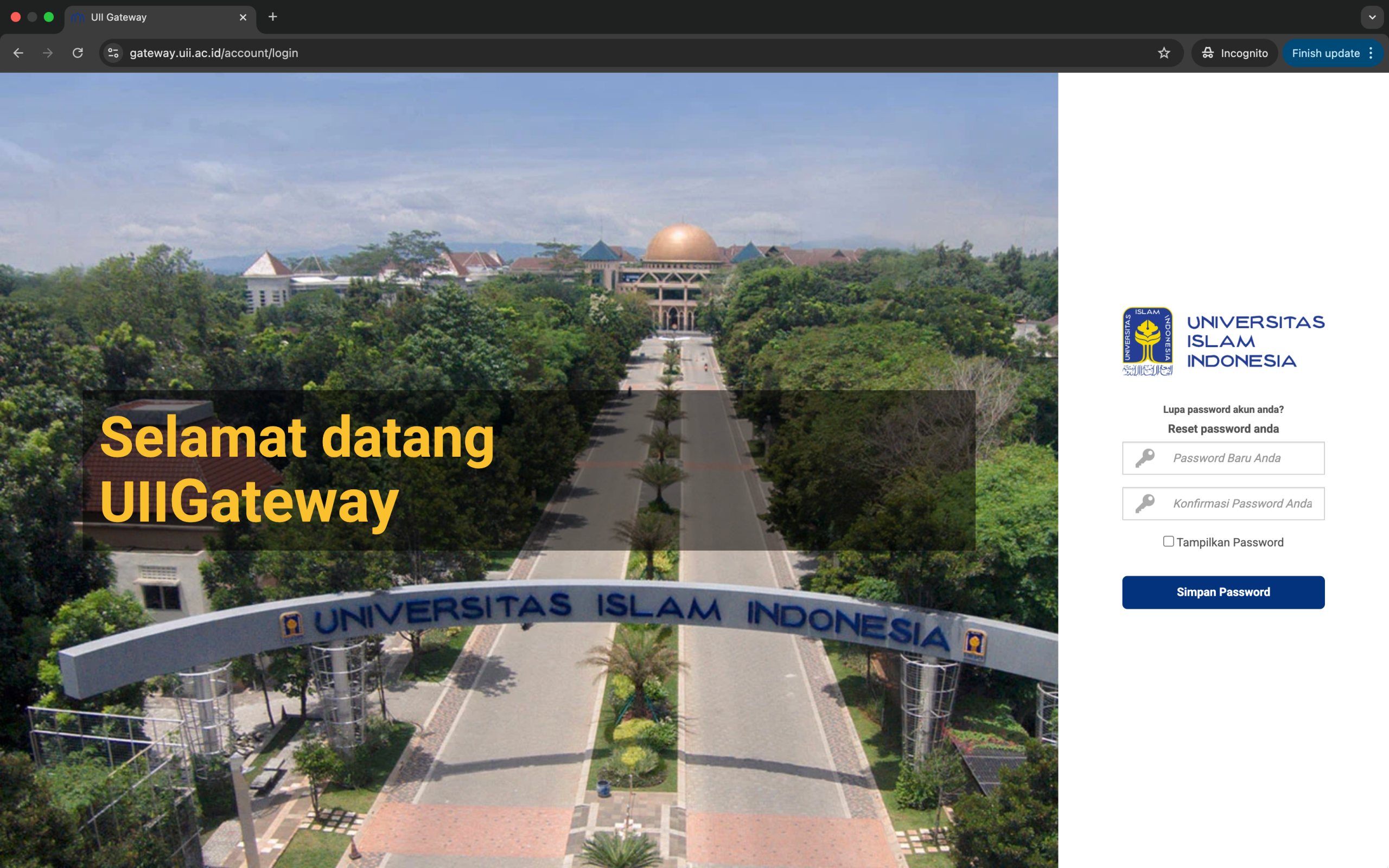 Atur password baru